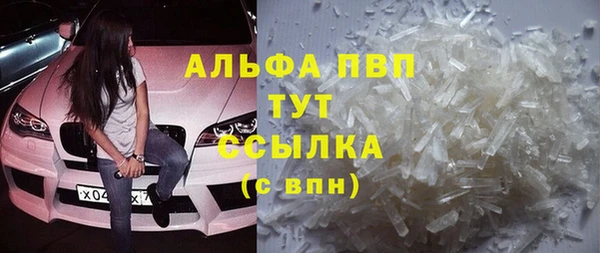 прущие грибы Богородск
