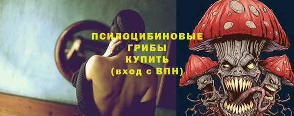 дурь Богданович