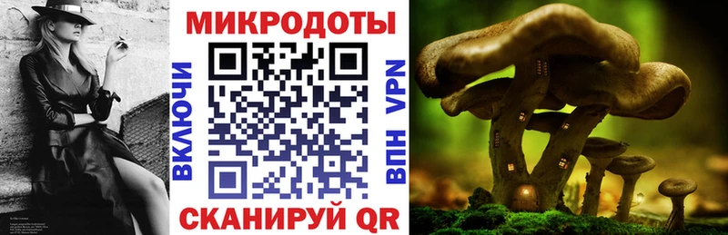 даркнет сайт  Дмитровск  Галлюциногенные грибы ЛСД 